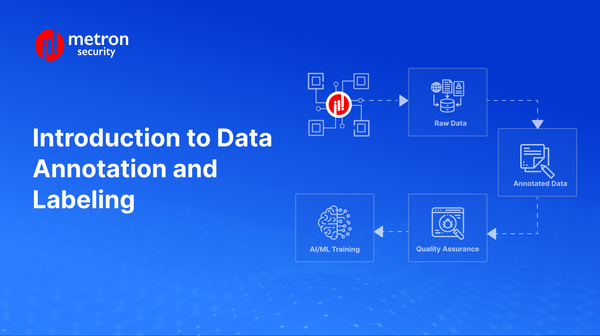 Introduction to Data Annotation and Labeling